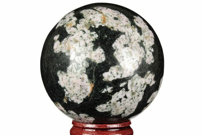Polished Snowflake Stone Sphere - Pakistan #187528